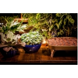 aluguel de bandeja para festa clean Higienópolis