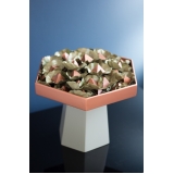 bandeja para festa de aniversario preço Jaguaré