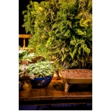 onde encontro bandeja para festa colorida São José dos Campos